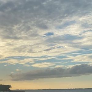 Meet your Posher, Talisha